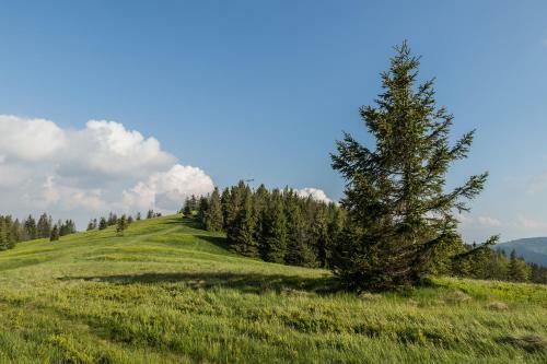 Lodge Domek Na Zagrodzie