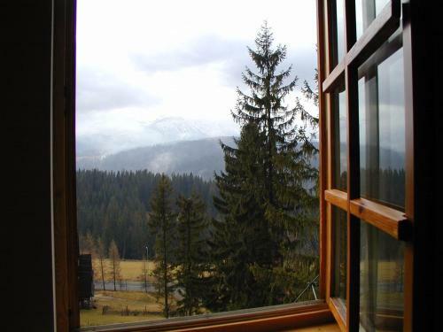 Bed & Breakfast Willa Litka