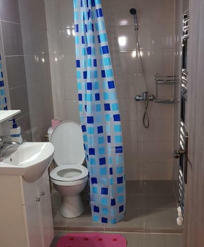 Albergue Corso 2