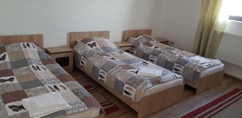 Albergue Corso 2