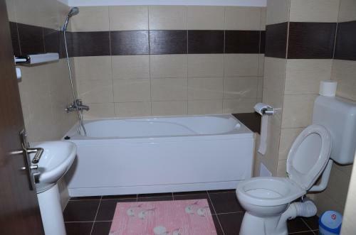 Hostal Pensiunea Laleaua Pestrita