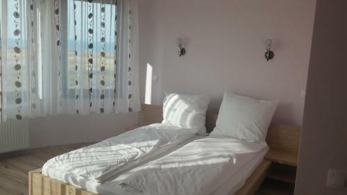 Hostal Pensiunea Laleaua Pestrita