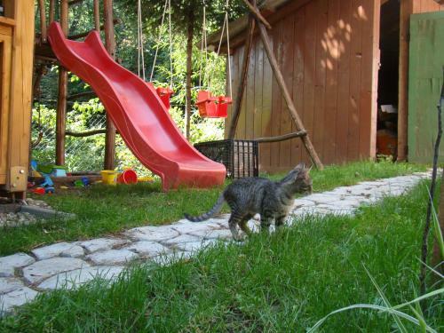 Agroturismo Sz�kely H�z