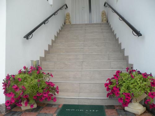 Hostal Pensiunea Casa Alb?