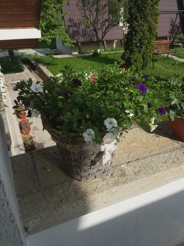 Bed & Breakfast Castelul De Smarald