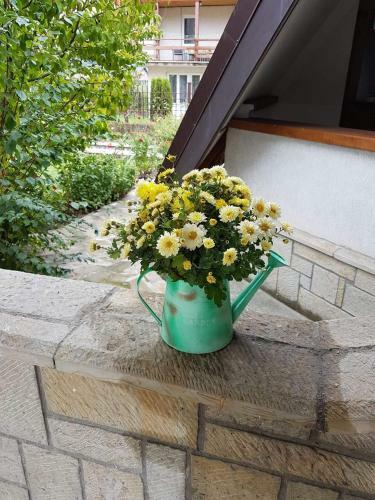 Bed & Breakfast Castelul De Smarald
