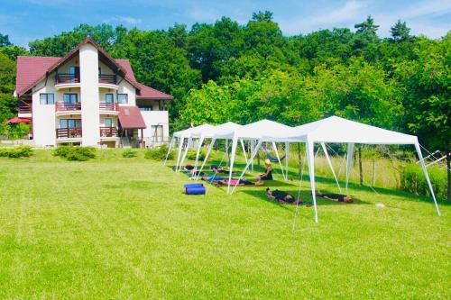 Hostal Forest Villa