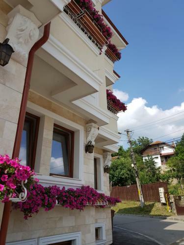 Hostal Pensiunea Geostar