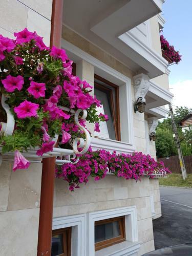 Hostal Pensiunea Geostar