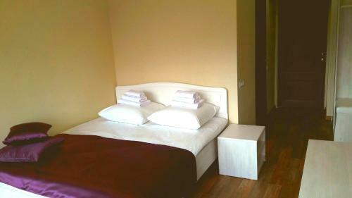 Hotel Mongulek