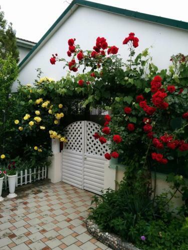 Hostal Guest House Vremena Goda