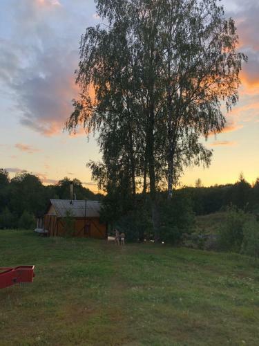 Hostal Shugaylovskie Dvoriki