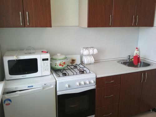 Apartment On Michurina 23