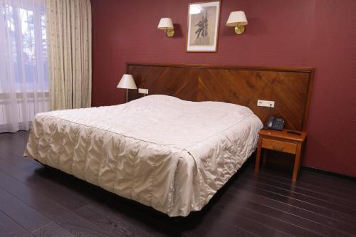 Dom Pionerov Hotel
