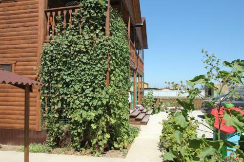 Hostal Arizona