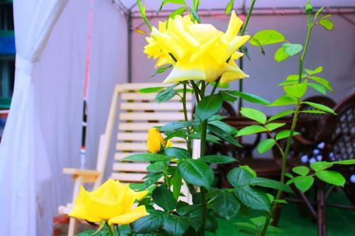 Hostal Mini Gostinitsa Abazhur