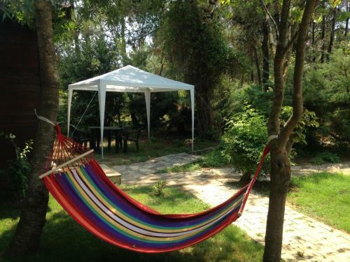 Bed & Breakfast Sakl?gol Evleri