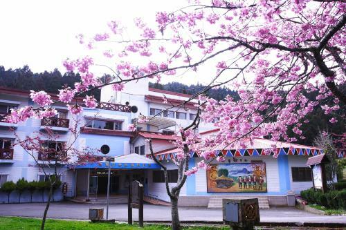 Hotel Alishan Youth Activity Center