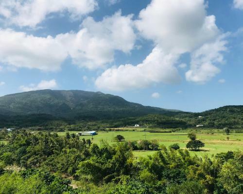 Gogohome