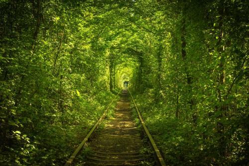 Hotel Tunnel Of Love