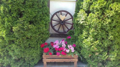 Posada Guest Yard Vivat