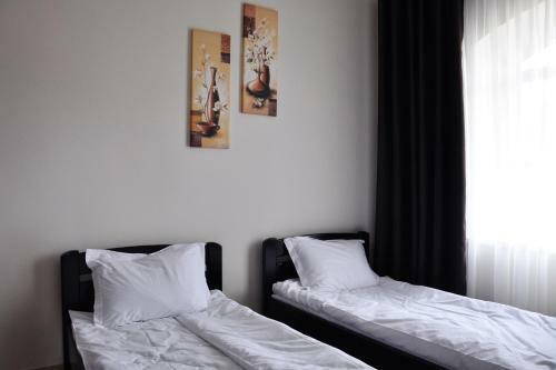 Hotel Shato Shafran