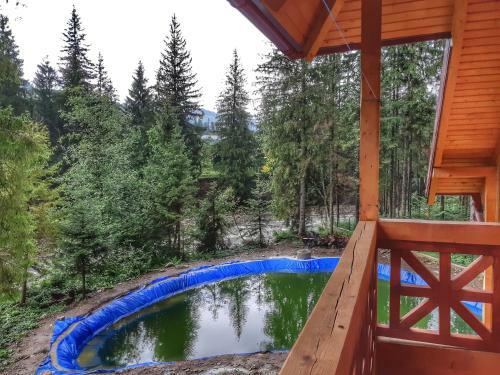 Apartamento Knyazhyi Dvir