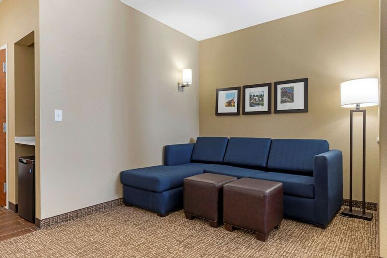Hotel Comfort Suites Greenville South