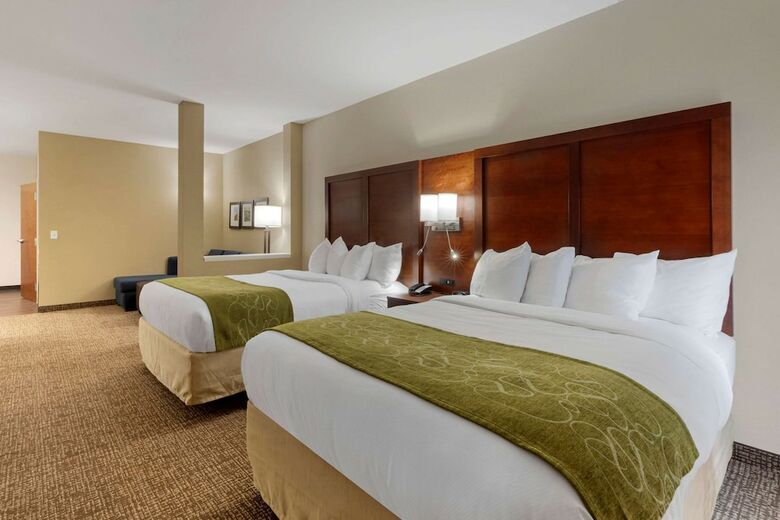 Hotel Comfort Suites Greenville South