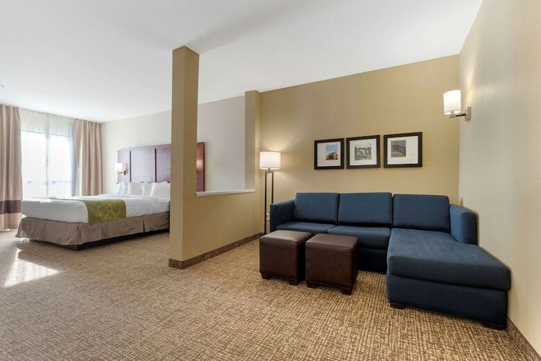 Hotel Comfort Suites Greenville South