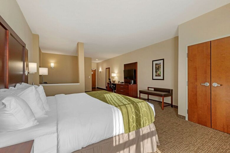 Hotel Comfort Suites Greenville South