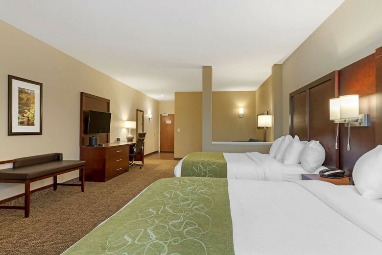 Hotel Comfort Suites Greenville South