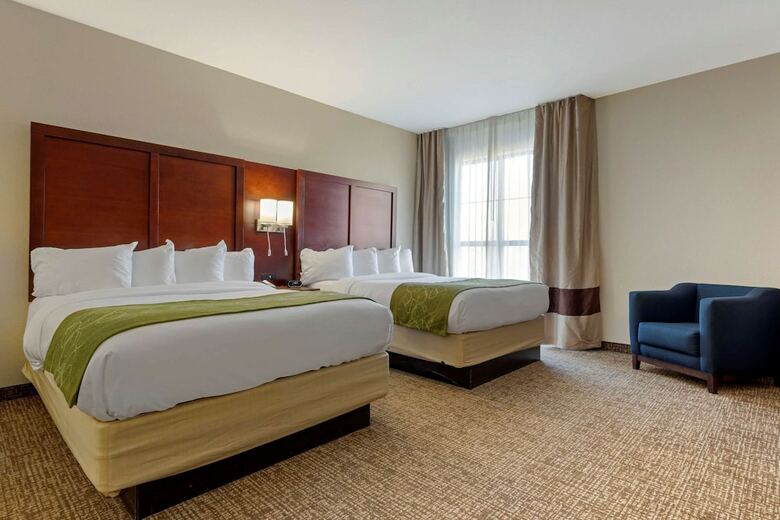 Hotel Comfort Suites Greenville South