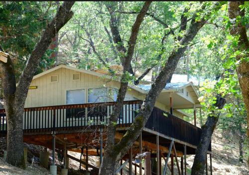 Lodge Yosemite Bug Rustic Mountain Resort