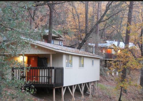 Lodge Yosemite Bug Rustic Mountain Resort