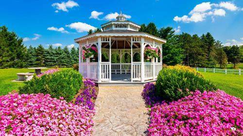 Hotel Best Western Plus Dutch Haus Inn And Suites