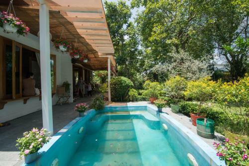 Wooden Unique Villa