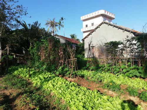 Villa Katie Homestay