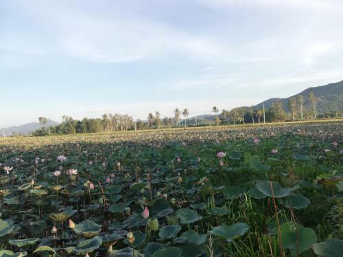 Villa Katie Homestay