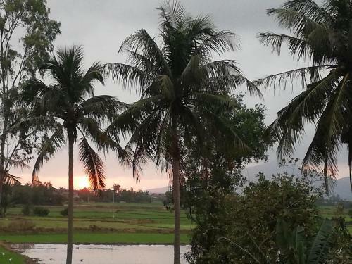Villa Katie Homestay