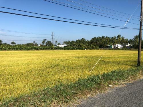 Hostal Thanh Tan Homestay