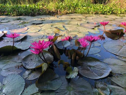 Hostal Thanh Tan Homestay