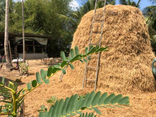 Hostal Thanh Tan Homestay