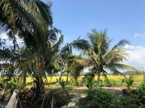 Hostal Thanh Tan Homestay