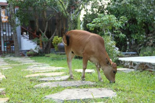 Phong Nha-tuan Garden House