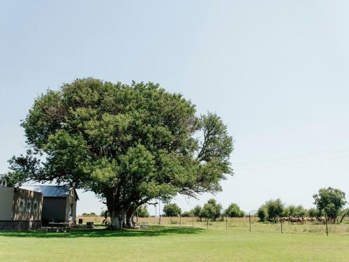 High Tree Lodge