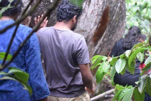 Evergreen Tent Stay & Trekking