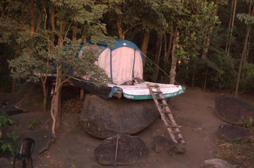 Evergreen Tent Stay & Trekking
