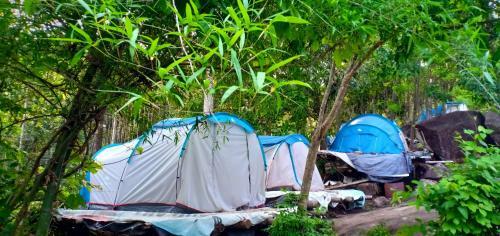 Evergreen Tent Stay & Trekking