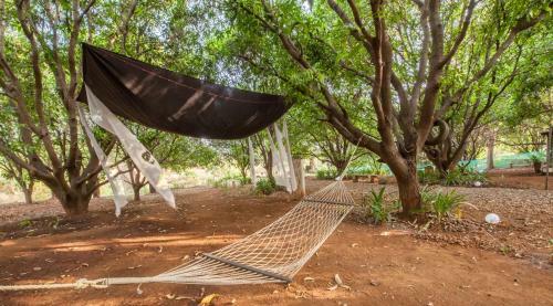 Villa Mango Retreat By Vista Rooms
